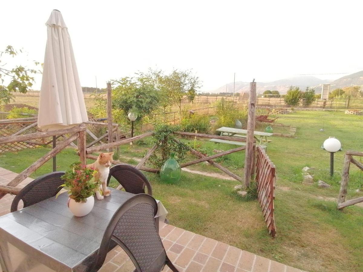Casale Cavatella Bed & Breakfast Sermoneta Ngoại thất bức ảnh