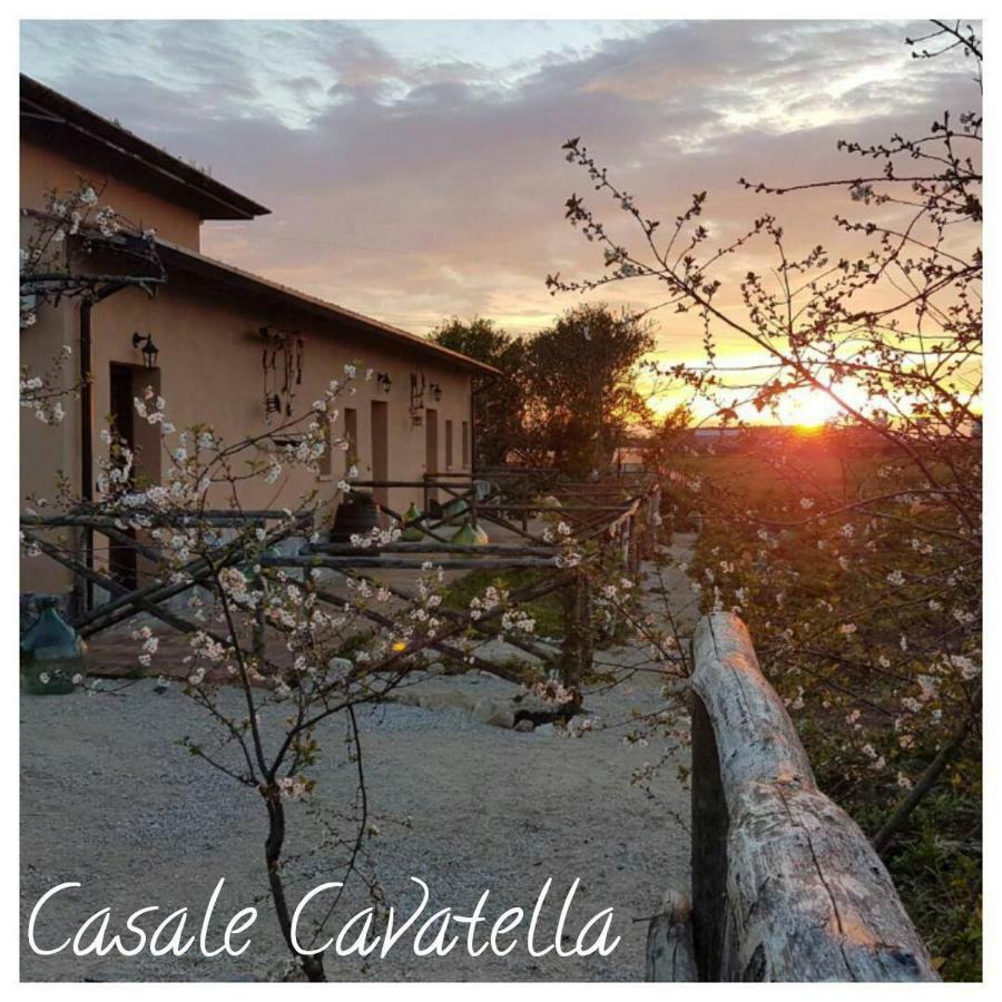 Casale Cavatella Bed & Breakfast Sermoneta Ngoại thất bức ảnh