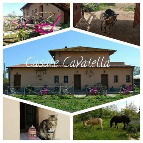 Casale Cavatella Bed & Breakfast Sermoneta Ngoại thất bức ảnh